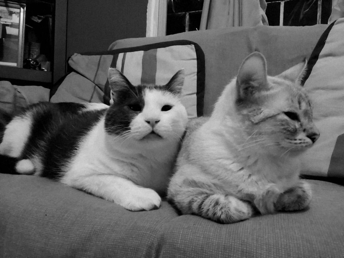 I miss You My friend
Rock un peace