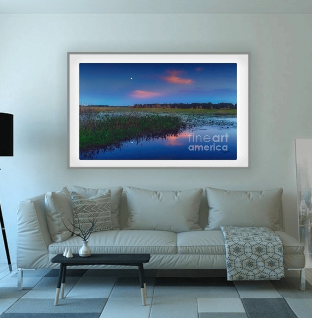 marvin_spates's tweet photo. A beautiful moonrise for your livingroom dรฉcor! Take a look at my website-
https://t.co/pOjmlTR5Nu
#landscapephotography #amazing_captures #refreshingphotography #bluehour #pastelclouds #moonrise #sunset #ponds #lakes #Vistas #refreshingviews #fineartamerica @FineArtAmerica https://t.co/AweCqrM5le