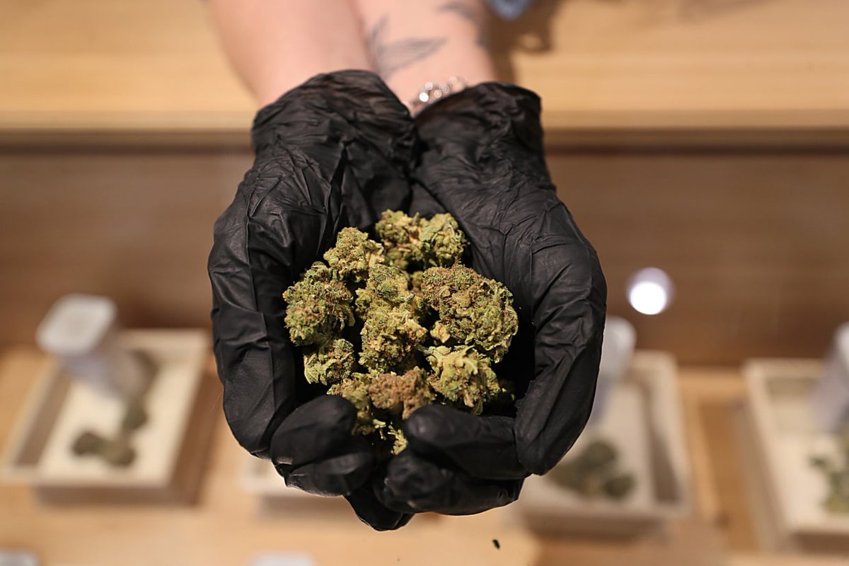 todd_harrison's tweet photo. Recreational marijuana sales showered states with cash in 2021

Nearly a dozen states combined to collect $3 billion in tax revenue from recreational sales.

🇺🇸 #cannabis 🌿

https://t.co/lp4RnESkH9 https://t.co/adPNFNxTbU