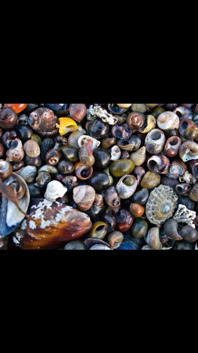 DeboraGauldin4's tweet image. Part 3. #ToggleCoat girl pretty hes stupids 4/11🌟aries De'bora😆🌊😊🤗😍😀✨✨city lights safely his secrets I love it!! boldness reactions is that your girl pretty? ❄️❄️👖♥️♥️👖yes she makes me styling shes year around for mine type⚡️⚡️shit I can afford her #ValentinesDay2022