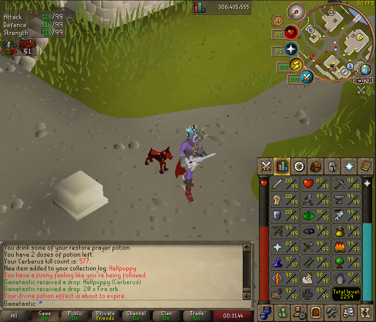GametasticOSRS's tweet photo. #10 Puppy🥄 https://t.co/aLz3pXvUKr
