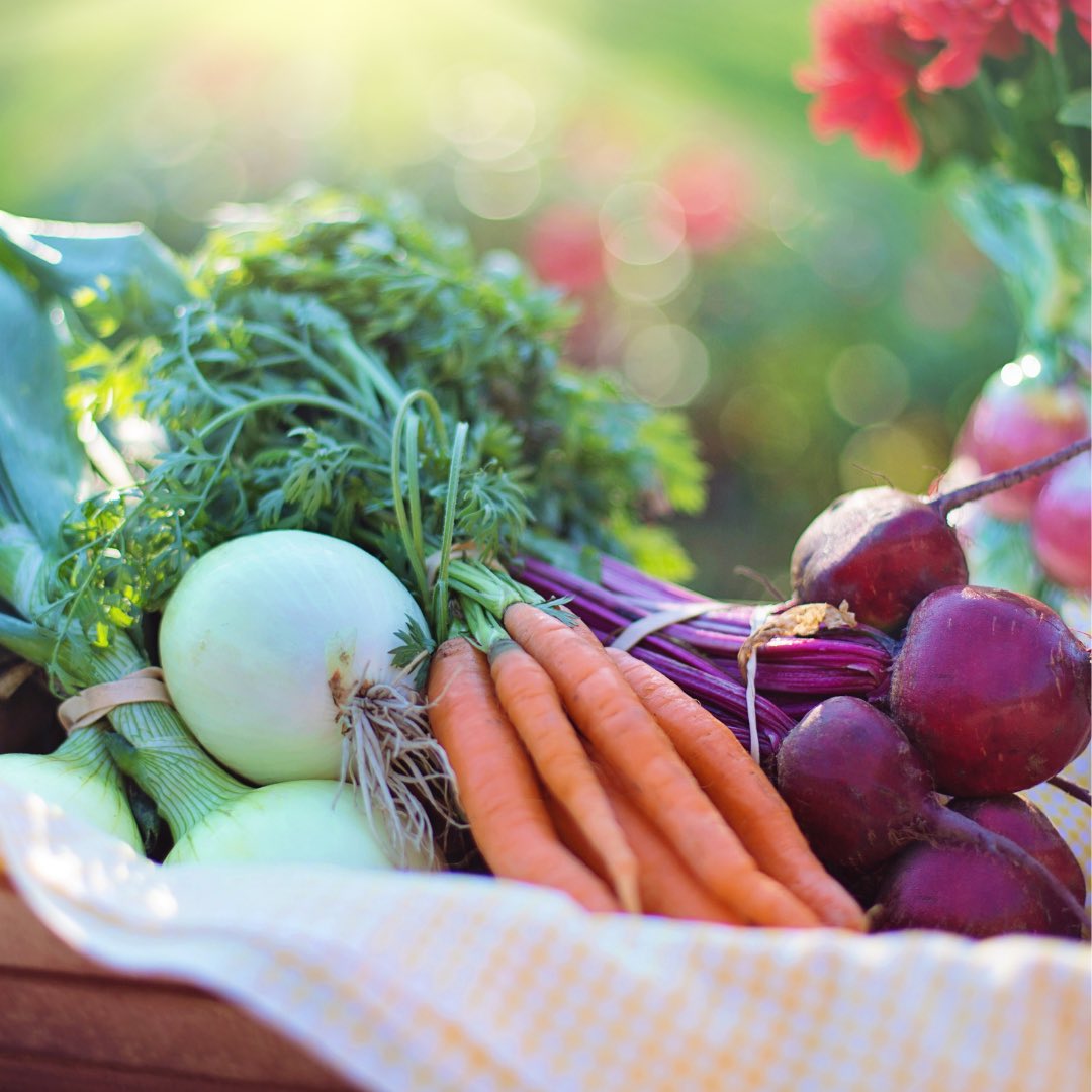 Help keep good produce out of the compost bin and into the hands of our Ballard neighbors in need — Volunteer with Sustainable Ballard’s Farmers Market Gleaners! 

To learn more, email Jill at gleanballard@gmail.com with the subject line “New Gleaning Volunteer.”