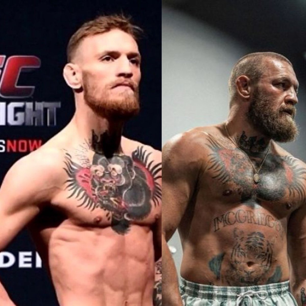 Jake Paul tweet media