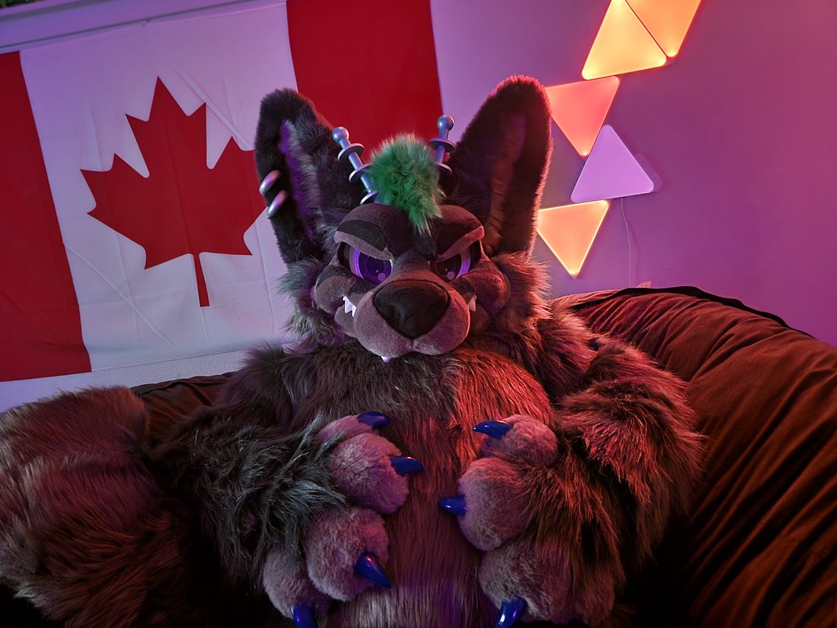 Lanepaws's tweet image. Soft, full, thicc fox after a big meal! Won't you come snuggle on this #FursuitFriday 💜🐾
#MoreFurLess