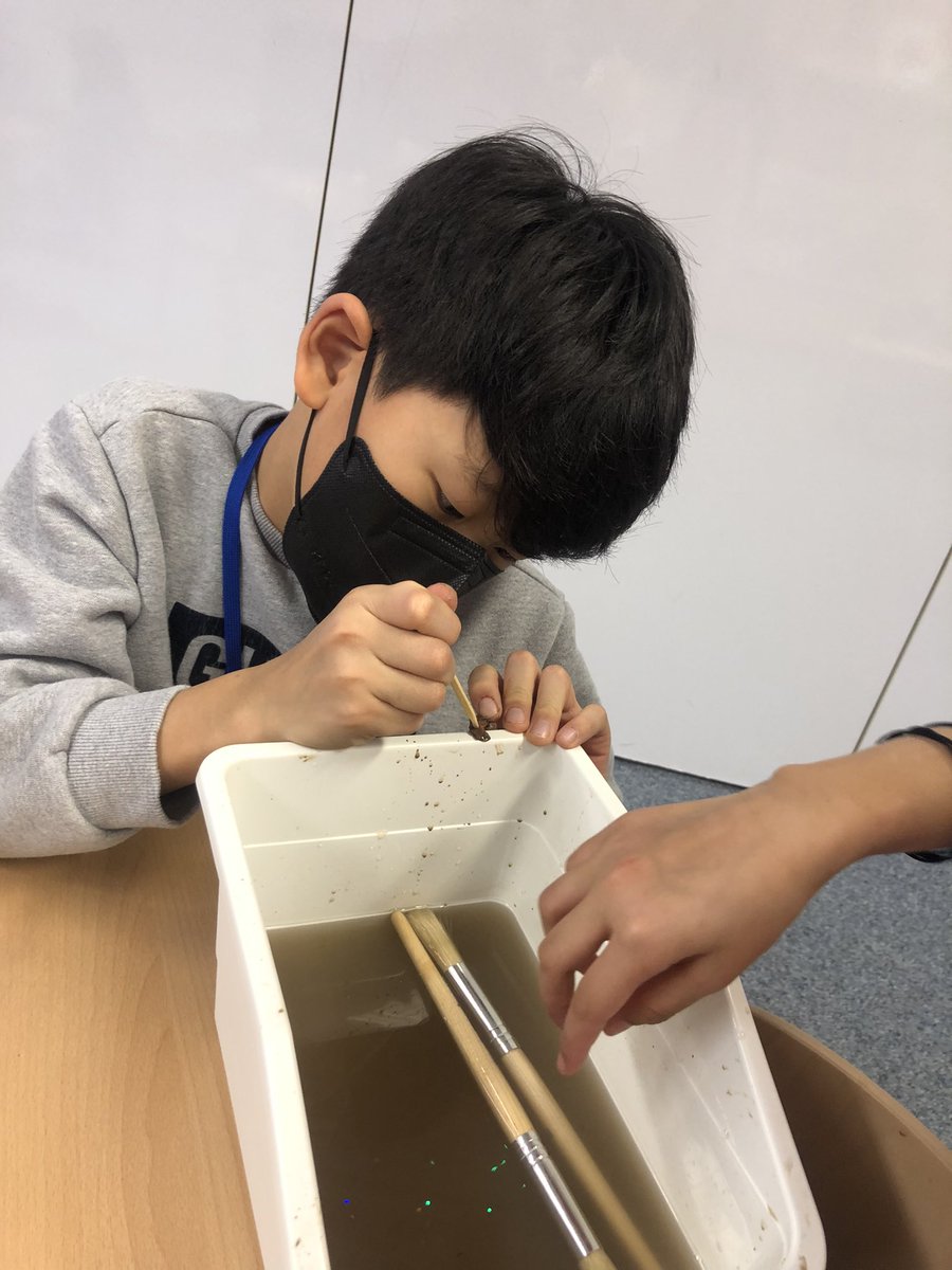 Lara Hodel-Mortensen (@ms_hodel3hm) on Twitter photo Today the Ss were in the ‘lab’ sorting and cleaning their finds from yesterday’s archaeology dig! “I feel like a real archaeologist.” #history #archaeology #artifacts <a href="/FIS_School/">Frankfurt Int School</a> Today the Ss were in the ‘lab’ sorting and cleaning their finds from yesterday’s archaeology dig! “I feel like a real archaeologist.” #history #archaeology #artifacts <a href="/FIS_School/">Frankfurt Int School</a>