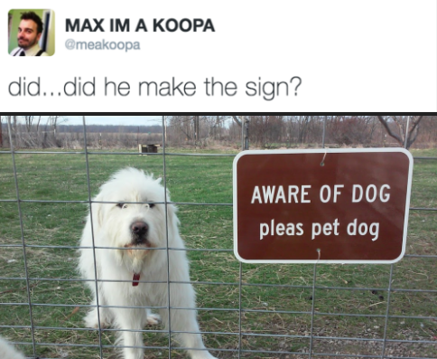 WholesomeMeme's tweet photo. https://t.co/KWTwZ8fi17