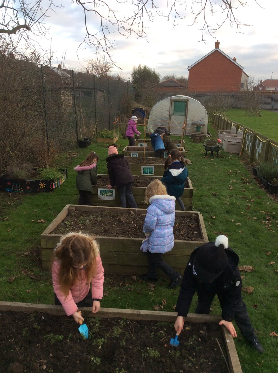 Mr Rowlatt tweet media