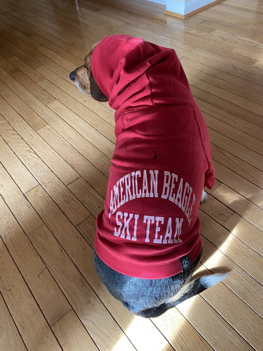 Thanks to another beagle friend we found out about American BEAGLE Outfitters… as you can see, I am thrilled about this discovery…