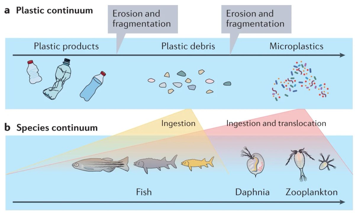 NatRevMaterials tweet media