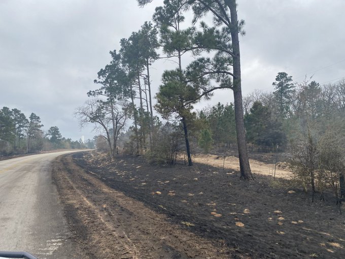 Burned area near a road on the rolling pines fire.
