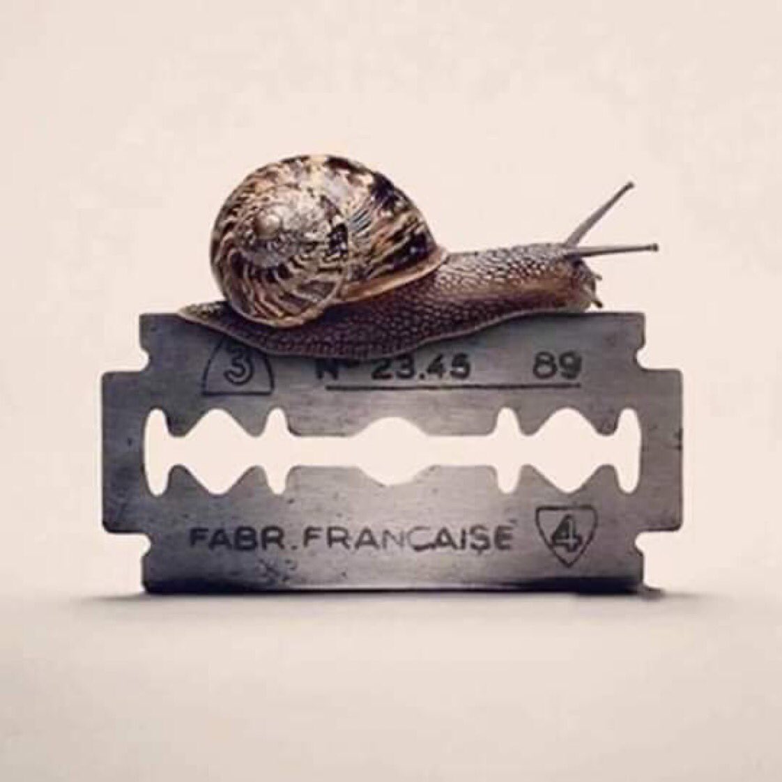 alkuyt_'s tweet image. عندما يكون التقدم أو التراجع أو حتى الوقوف مؤلمًا ، من الأفضل أن تسقط لتنهض من جديد .