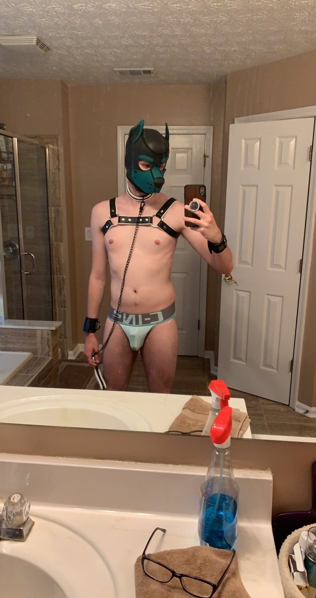 Pup Arcus tweet media