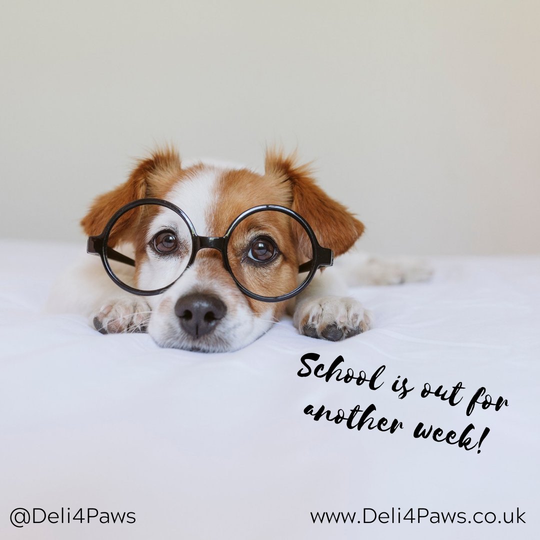 Training treats are very useful for training your dog, have a look at our wide range online to get ready for next week’s training 😊

Visit Deli4Paws.co.uk to view our full range of cat and dog treats.

Happiness in a box!

#Deli4Paws #Smallbizuk