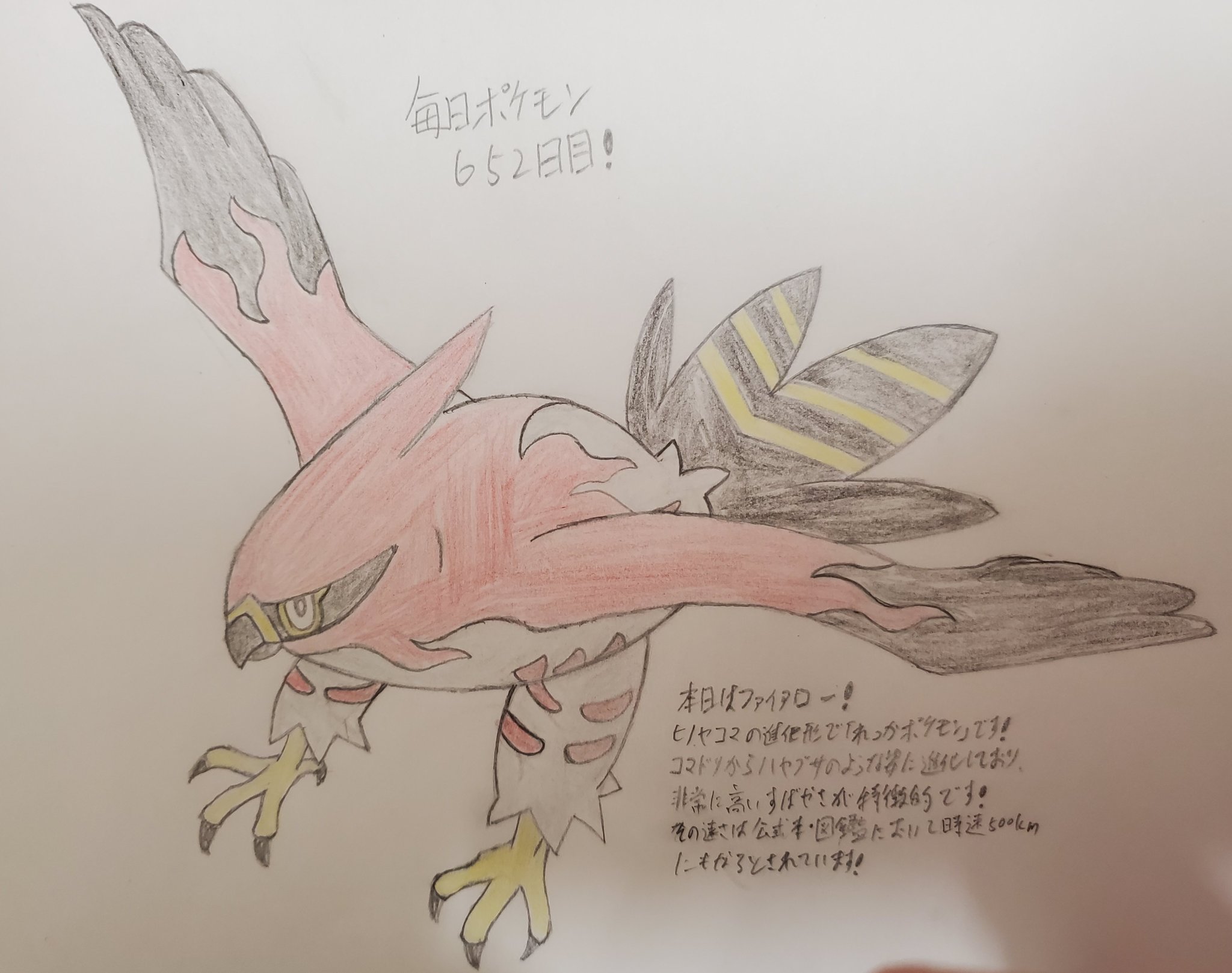 Runner Hiro Runrun 常識を超える 毎日ポケモンお絵描き 652日目 本日は 昨日描いたヒノヤコマの進化形にあたるファイアローを描きました Xy世代より名前が最大6文字になったことに対する象徴的なポケモンになります また 一般の炎タイプとしては