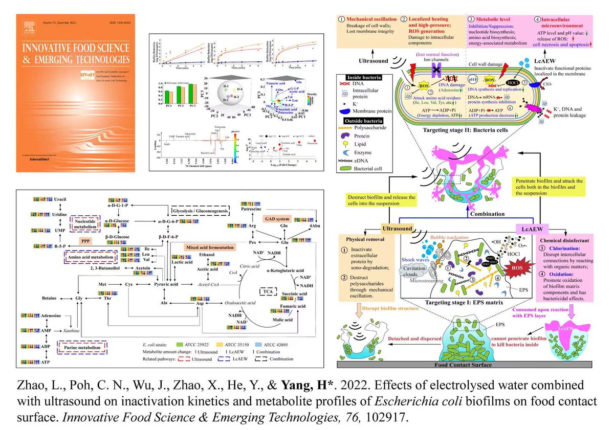 HongshunYang's tweet photo. Effects of electrolysed water combined with ultrasound on inactivation kinetics and metabolite profiles of Escherichia coli biofilms on food contact surface. Innovative Food Science &amp; Emerging Technologies, 76, 102917.
Your personalized Share Link:
https://t.co/2k4rYCxTkF https://t.co/iaNjg7W8Ti