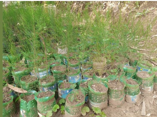 nizeyiman_noel's tweet photo. For creating a batter world , we have to rethink what the environmental actions we can initiate  where we live in our community  to  void the plastics waste  to go far from our control , because they will go to destroy the life below water  @ScoutingAfrica @RwandaScouts @rema https://t.co/recc4mOaYK