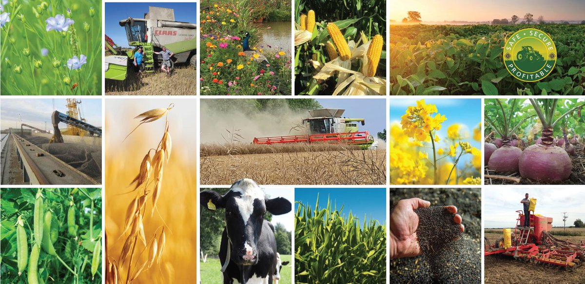 Great Opportunity! United Oilseeds is recruiting for the role of Transport Manager at our Head Office in Devizes. See bit.ly/3FKebkO for details &amp; how to apply <a href="/BeckiiGibbs/">Beckii Gibbs</a> <a href="/AJHMilne/">Andrew Milne</a> <a href="/pennock66/">Ray</a> <a href="/Tula205/">James  Hood</a> <a href="/holly_gourley/">Holly Gourley</a> <a href="/owencuos/">Owen Cligg</a> <a href="/jogunes1/">@JoGunes</a> <a href="/McGregorFarms/">McGregor Farms</a> <a href="/JBJFarm/">B Jackson</a> #haulage