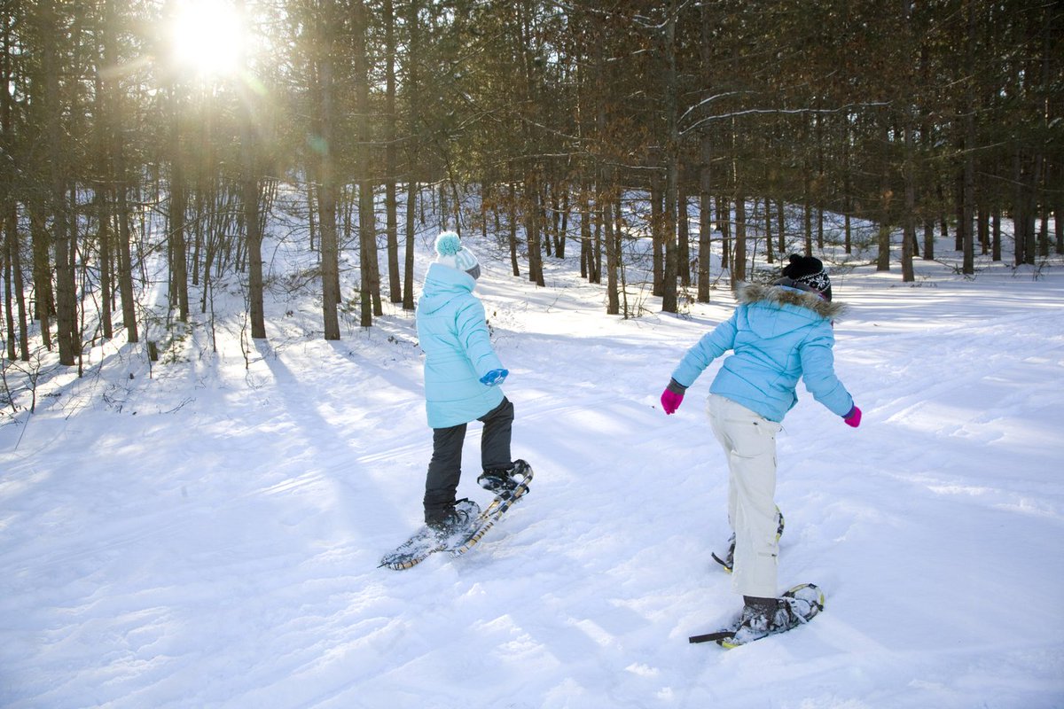 Explore131North tweet media