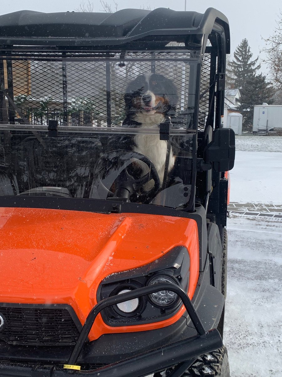 SueAnnStaff's tweet photo. It's Friday, so please enjoy this photo of the winery's amazing Kubota driving dog. #brixpix #bernesemountaindog #winerydogsofontario #learnerspermitonly https://t.co/uNjFgeq0cT