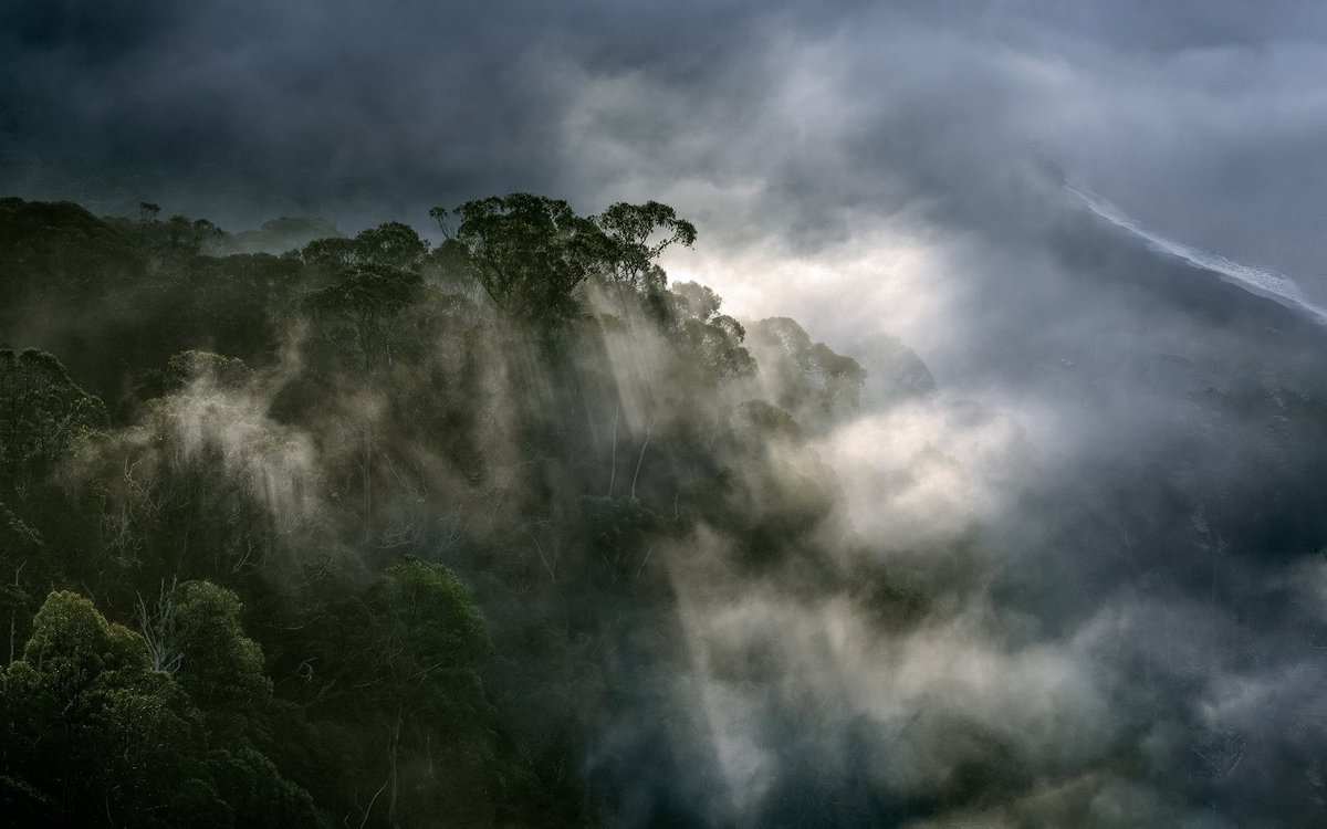 Karl the fog is baaack! Missed you buddy!