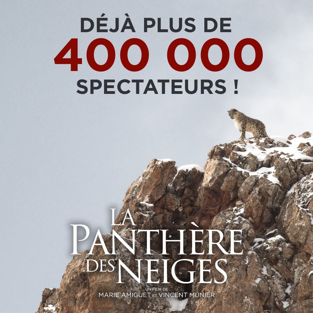 vincentmunier88's tweet photo. La Panthère est toujours en salles pour son bientôt 6e week-end !
Trouver les derniers calendriers 2022 à prix cassé : https://t.co/HZ8NBnfhBL https://t.co/9H6vmTiPnt