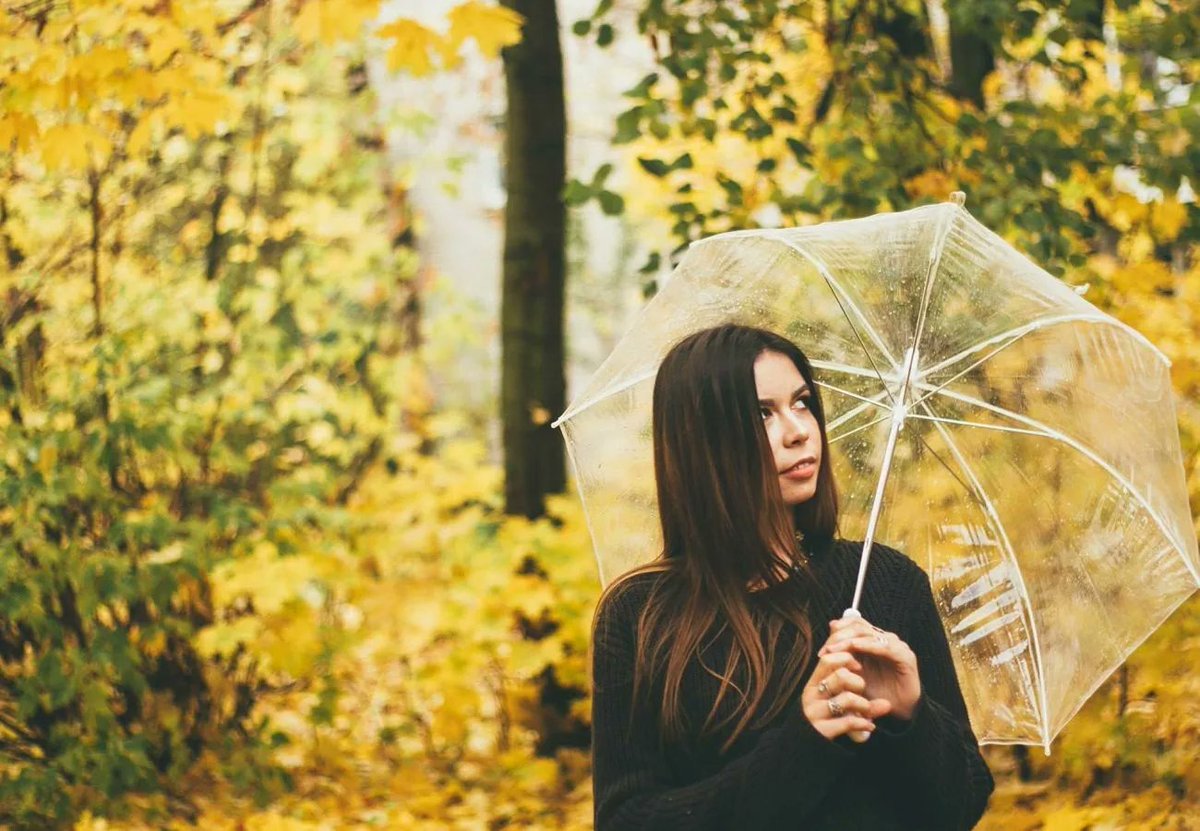 Likely Loans tweet media