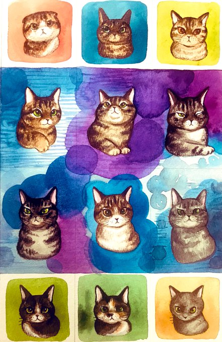 うちの猫 高画質 のtwitterイラスト検索結果 古い順