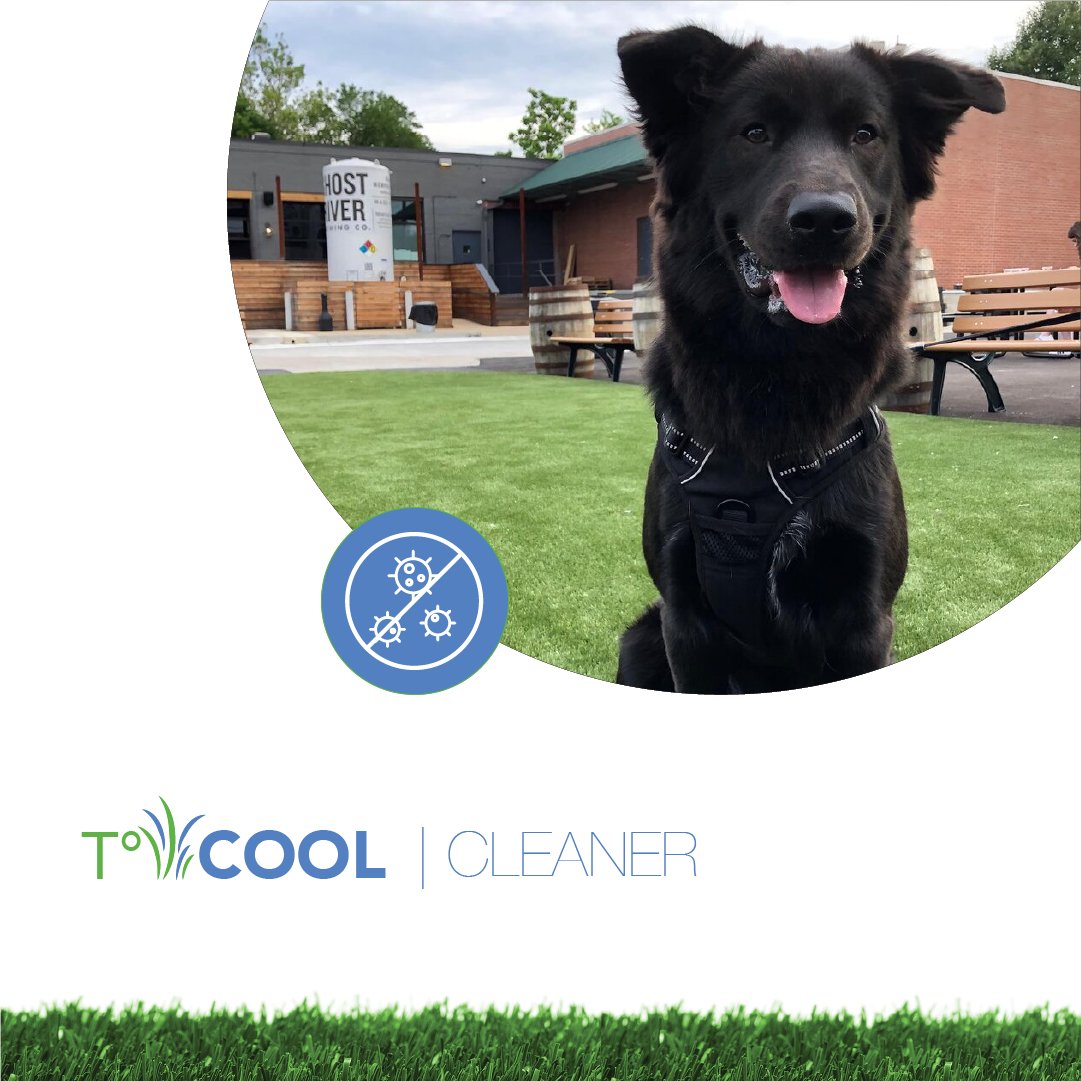 TcoolTurf's tweet photo. With TºCool®, Synthetic Turf is:
• Cooler 
• Cleaner
• Safer
#innovation #tcoolinfill #artificialgrass https://t.co/Q1osVK3n1j