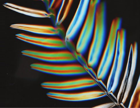 XIXCrypto's tweet photo. The beauty of an artwork is not only on its visual side, but also on the way it is made. 🌿
All my work is made using 19th century techniques. 
😊
Each of them is worked manually with great care.
🙌❤️
Check my collection here:

https://t.co/VbBqWLa5lE

#xixcrypto #nftcollectors https://t.co/ibe1DmUIIn
