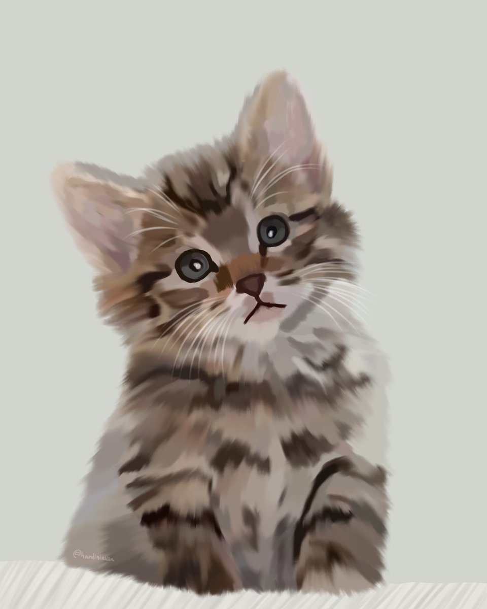 Nitip kucing dulu ya, bentar kok ntar balik lagi