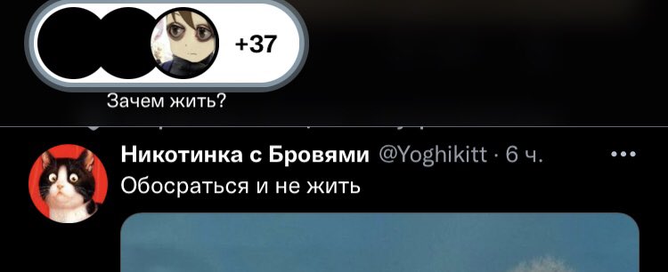 sociowho's tweet photo. В целом, да https://t.co/5orp1p9968