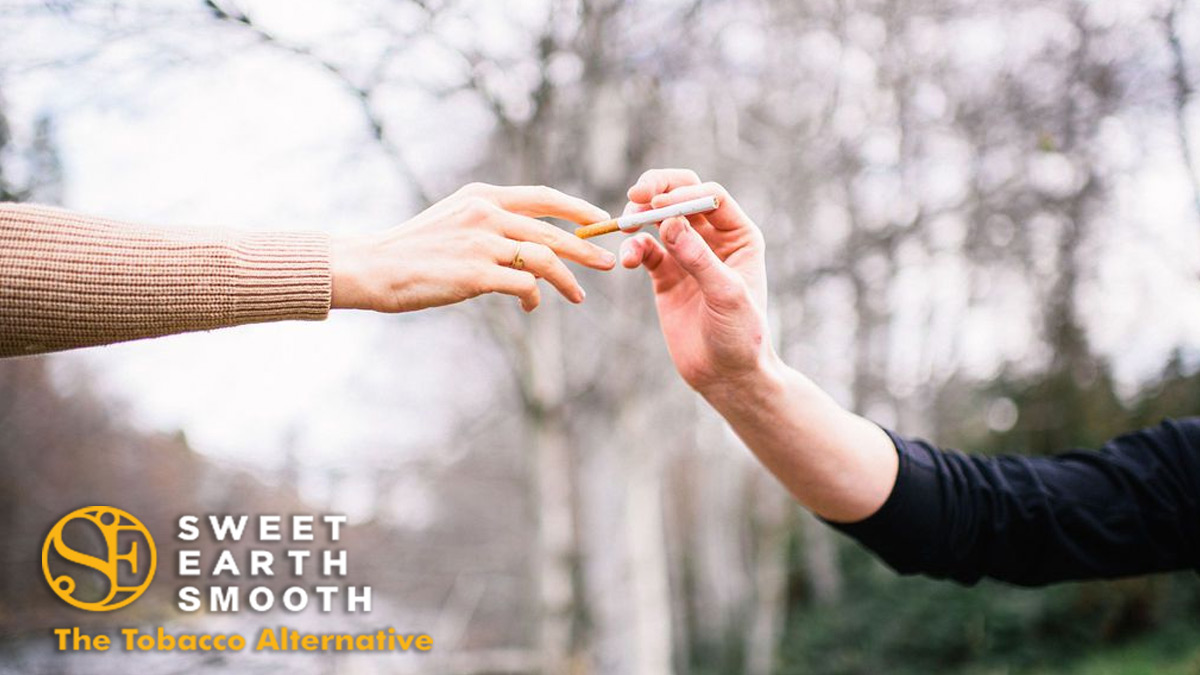 SweetEarthHemp's tweet photo. Have you tried Sweet Earth Smooth CBD Hemp Pre-Rolls? Our Hemp CBD is non-GMO and contains no pesticides, herbicides, or chemical fertilizers.

Taste The Tobacco Alternative https://t.co/QMoU8bumPy

#CBDBusiness #CBDprerolls #Hemp #CBD #Canna #CBDcommunity #Hempprerolls #PreRolls https://t.co/SVHRbhpcQi