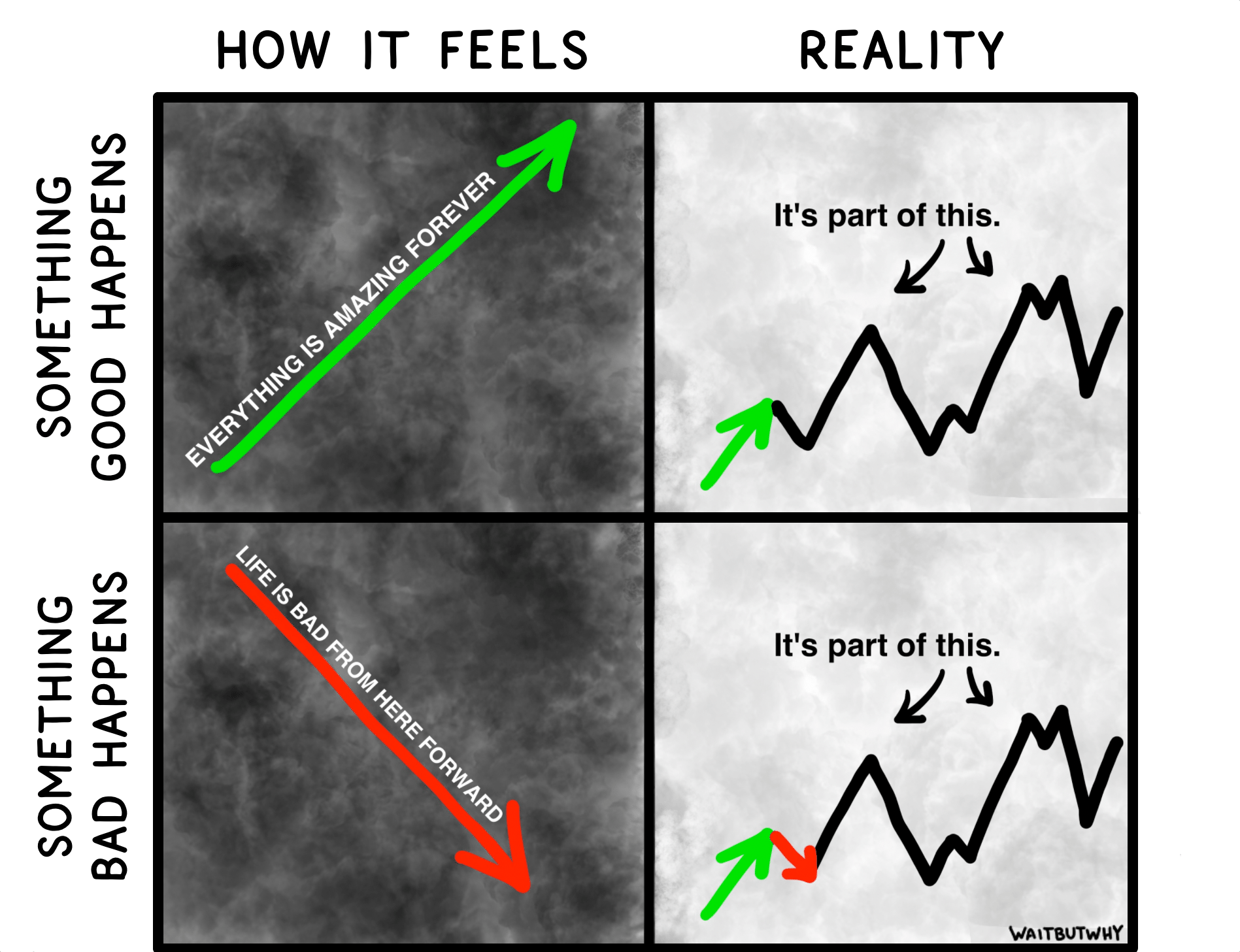 Tim Urban on Twitter "Our brains come preset to look at life up close
