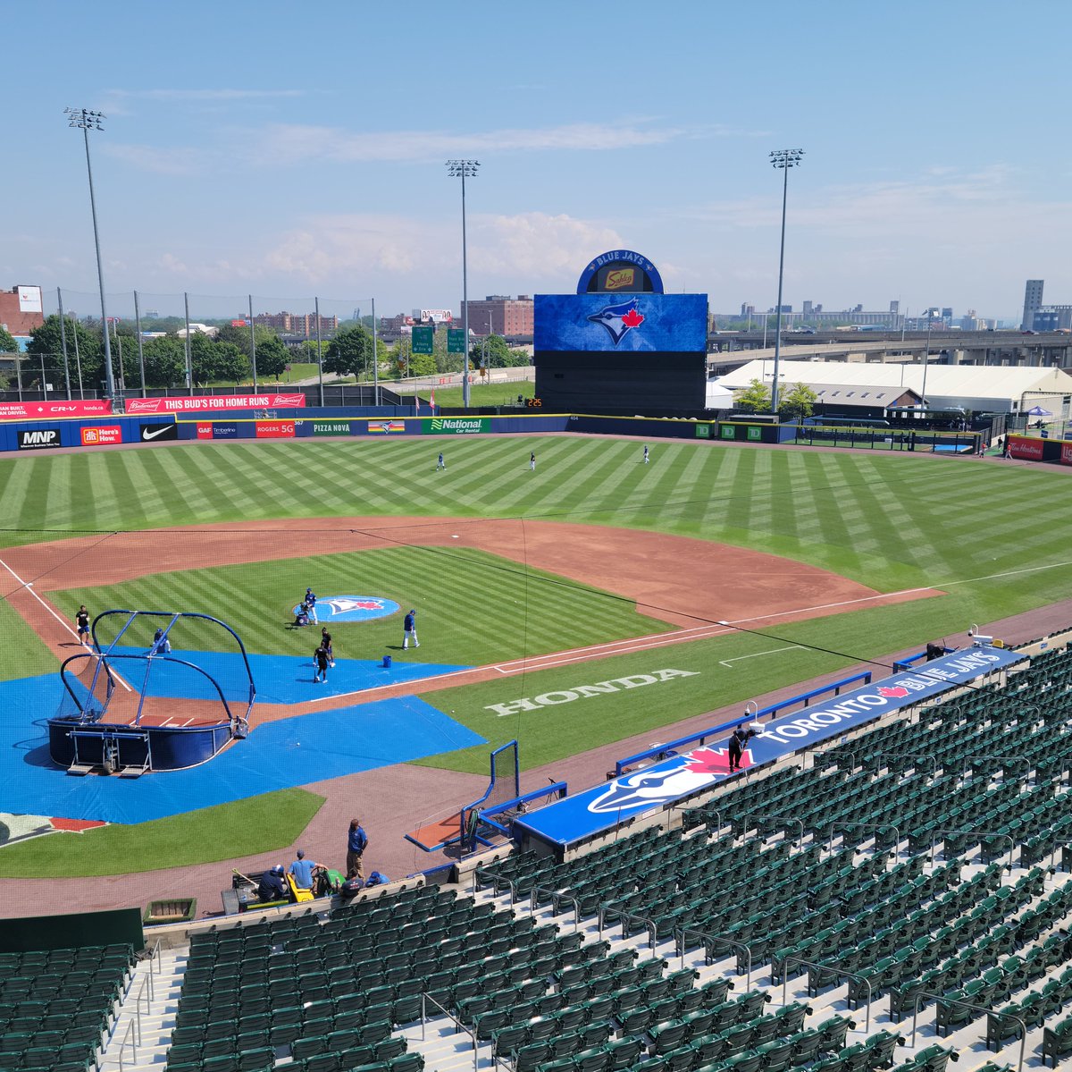 Buffalo Bisons tweet media