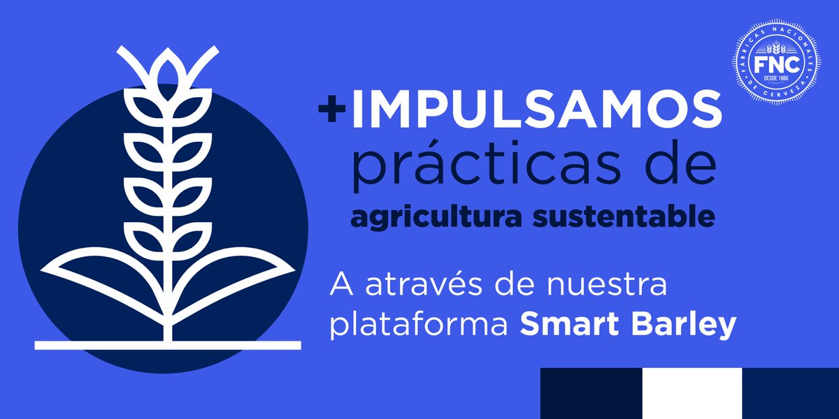 🌱 Con Smart Barley nuestros más de 700 productores agropecuarios se encuentran conectados 🌱 Descubrí más en nuestro Reporte ASG bit.ly/3FdTVbS
