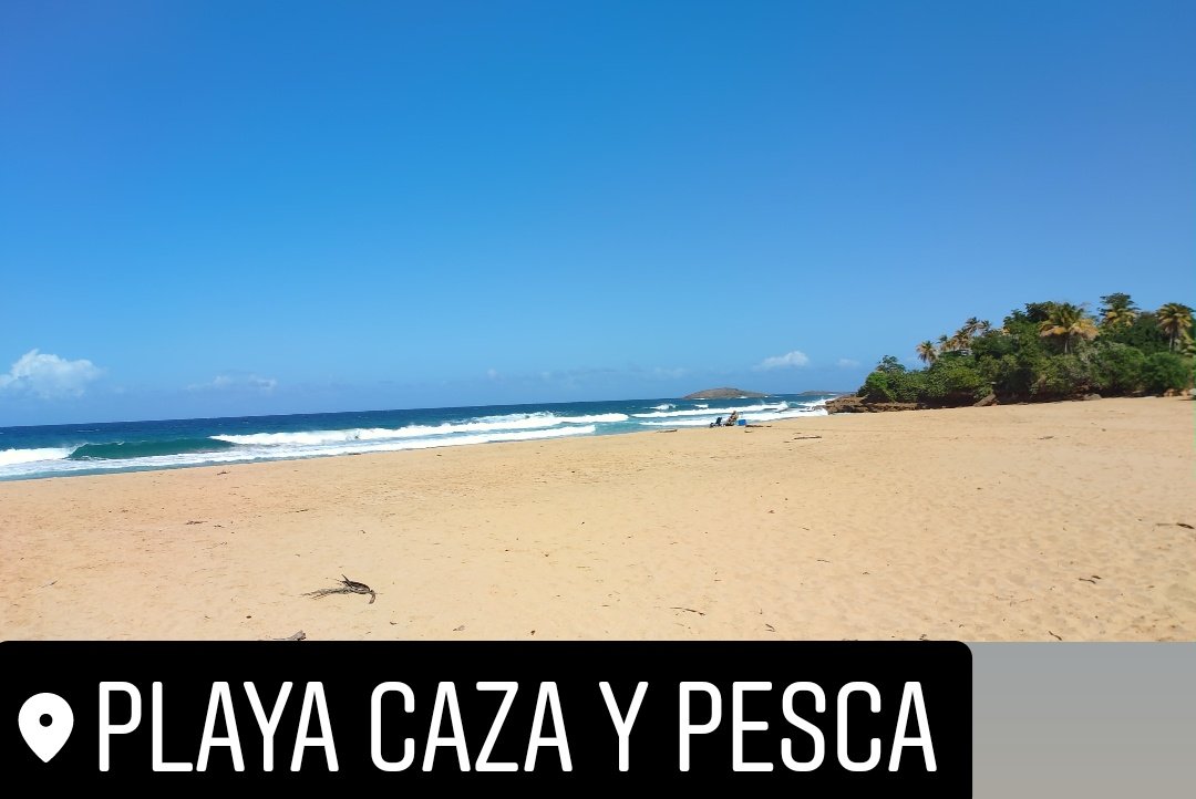 AlbitLuis's tweet photo. #terapia #islandlife #tropical 🌴⛱️🇵🇷 https://t.co/LQ8L7CKzm4
