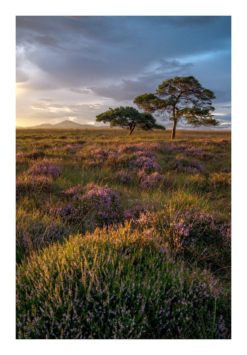 Having moved to Stirlingshire nearly 3 years ago my wife and I have not regretted it. All four images are from within 20 mins drive of me for @fotospeed #FSLocal (just been reminded to post).