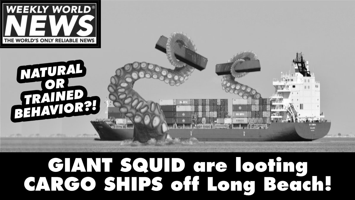 weeklyworldnews's tweet photo. Those cargo ships need to get into port sooner!!
A New Squid Game?
#cargoship #squidgame #squid #squidattack #supplychain https://t.co/FCiFD1JyQ7