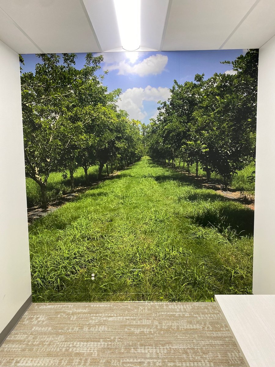 Dynamite Digital tweet media