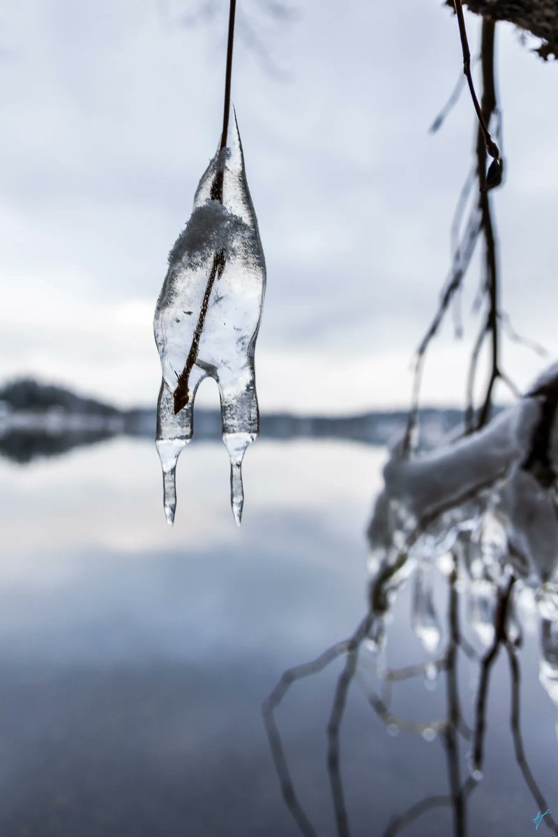 A frosty Friday out at Shawnigan Lake. #canadiancreatives #wildlycreative #landscape #shotoncanon #vancouverphotographer #canonr5 #adventureisoutthere #wanderlust #landscapephotography #totescanadian #thecanadiancollective