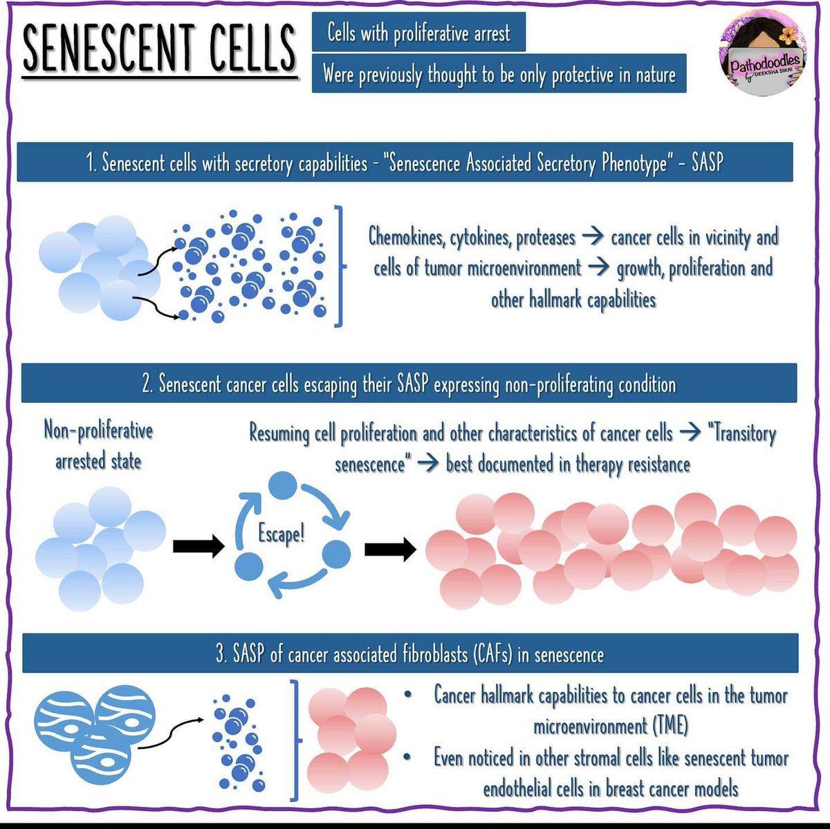 For #MedStudentTwitter and #PathTwitter - a very simplified look at the new dimensions to the cancer hallmarks from cancerdiscovery.aacrjournals.org/content/12/1/31

#pathodoodles #PathMatch22 #MolecularBiology #oncology #oncopath #Cancer