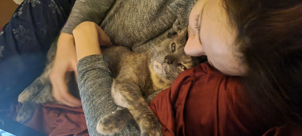 CassidyJinx's tweet photo. Please read it... #emergency #helenaravenclaw #sickkitty #panic #PleaseHelp https://t.co/jQeauNX4Ek