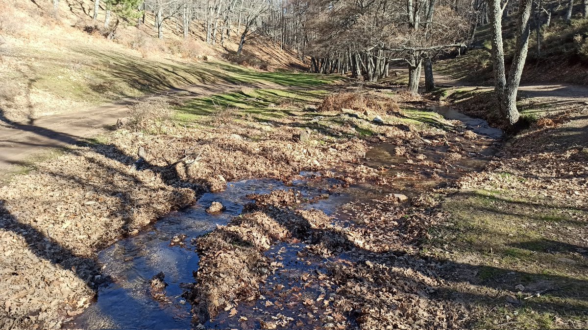 Unapersonamass's tweet photo. Hoy rutita por el castañedo de El Bierzo. Una ruta de pocos km pero muy muy bonita. https://t.co/tfJC8QFZTQ