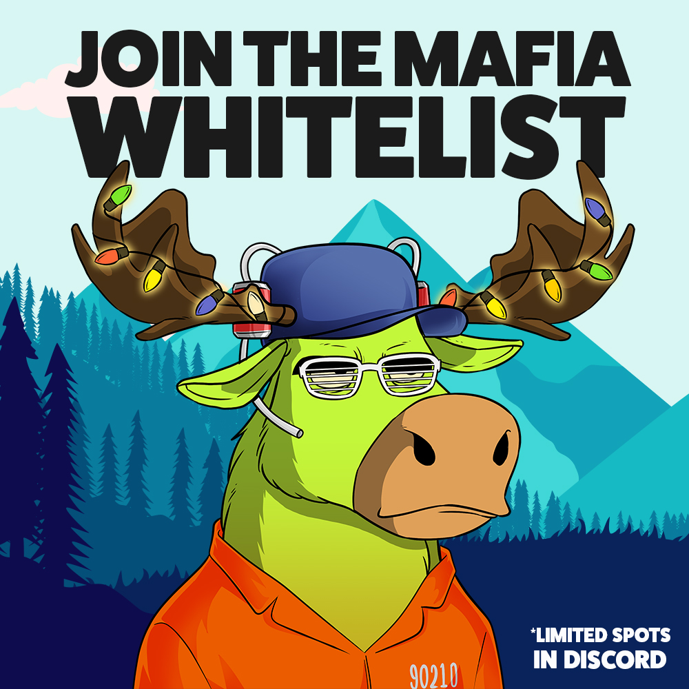 Moose Mafia tweet media