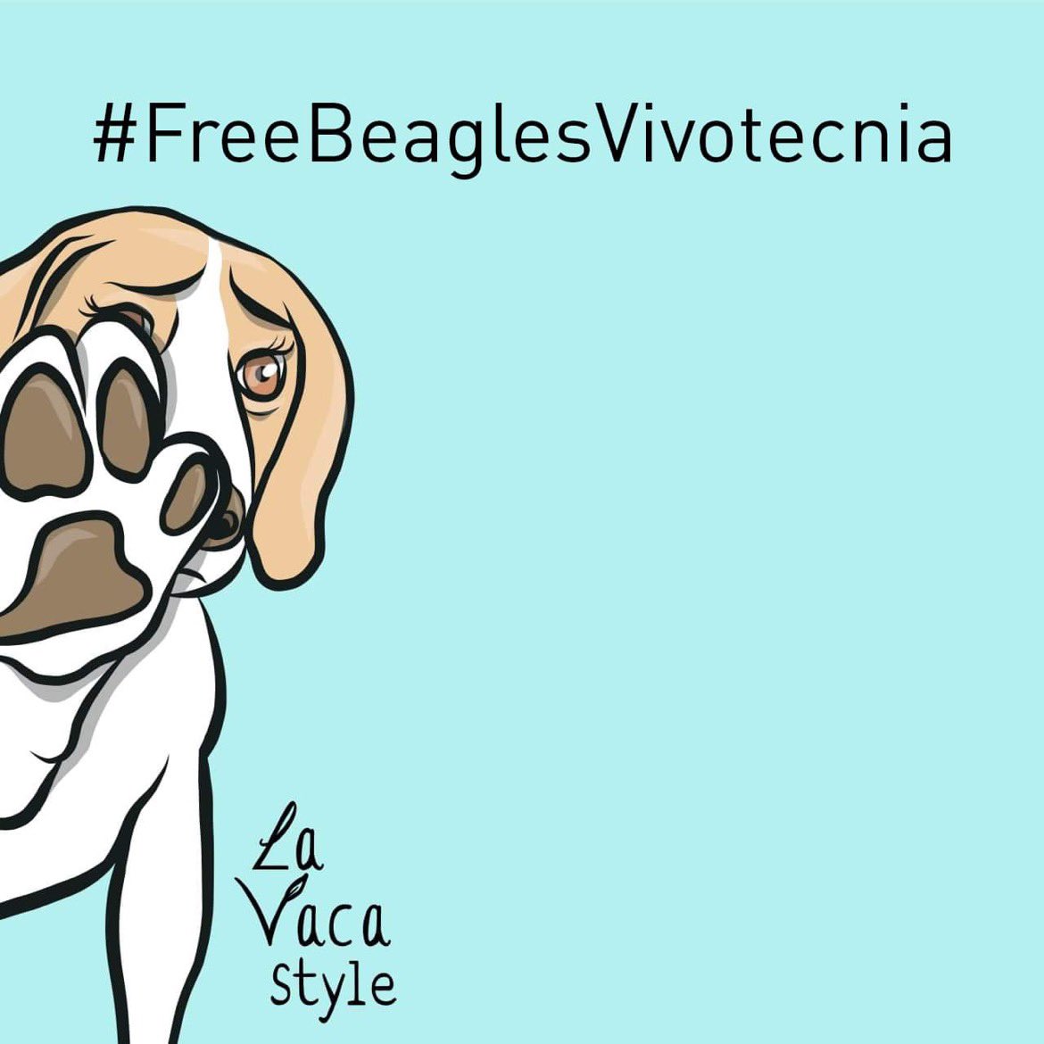 Please help me be released from hell at Vivotecnia. I have been told that loving homes are waiting for me and my 37 friends. #FreeBeaglesVivotecnia