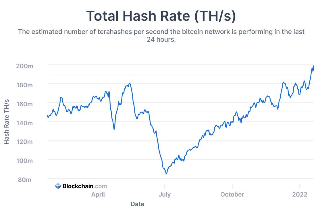 VitoLops's tweet image. A chi piacciono le divergenze eccone una sul tavolo: mentre il prezzo di #Bitcoin è giù del 45% dai massimi l&apos;hash rate (la potenza di calcolo necessaria per minarli, che in un certo senso misura anche lo stato di salute del network) è ai massimi storici 🧐