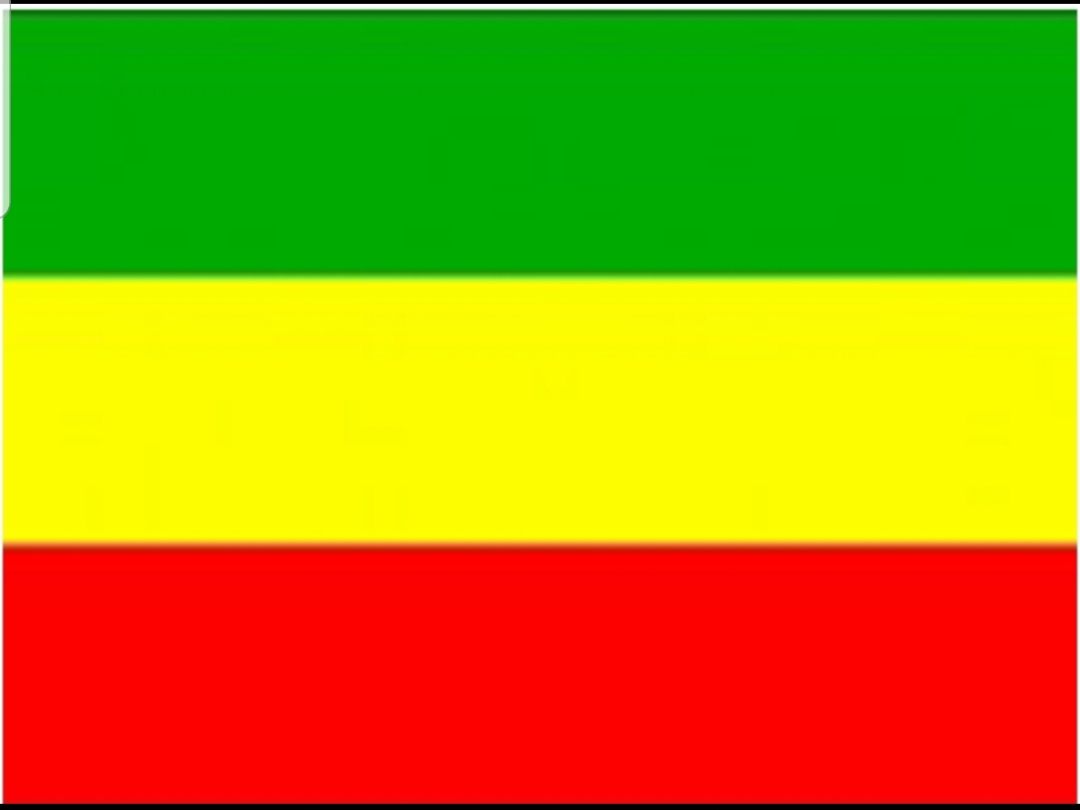 Fight tplf but use the ideology and flag of tplf? 
what kind of leadership is being practiced? I don't get it
No one should be forced it should be a free choice.
#NoMore
