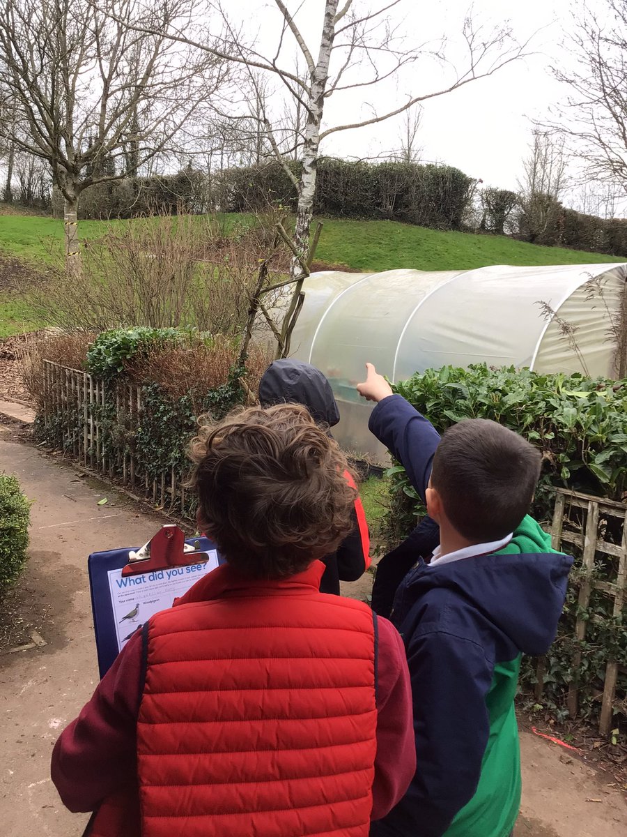 We had a wonderful Friday afternoon taking time to enjoy some fresh air in our lovely school grounds whilst we participated in the #BigSchoolBirdwatch <a href="/CrossAshSTEM/">Cross Ash STEM</a> <a href="/CrossAshHW/">Cross Ash Health and Well-being</a> #birds #nature #forestschool #outdoorlearning <a href="/RSPB_Learning/">RSPB Learning</a>
