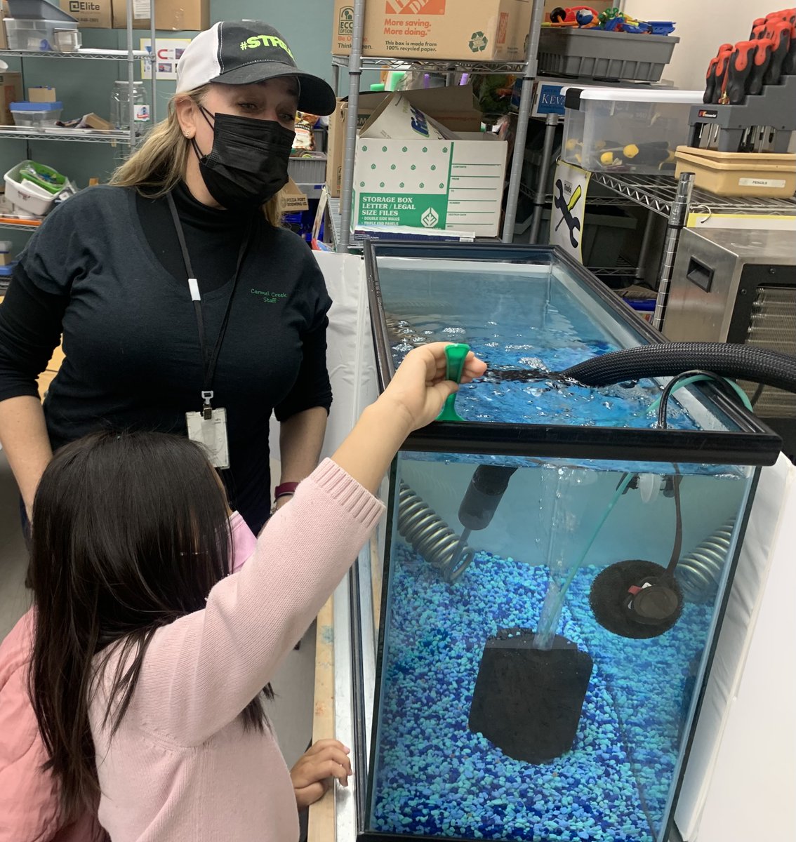 sbsdCCSTREAM's tweet image. Trout eggs are in the house! 1st-ies loved placing the eggs in our tank. Another shout out to Bruce our #troutintheclassroom sponsor from @SDFlyFishers! Making memories &amp;amp; learning so fun in #CCstream lab. @SolanaBeachSD @SolanaBeachKids #sbsdstream