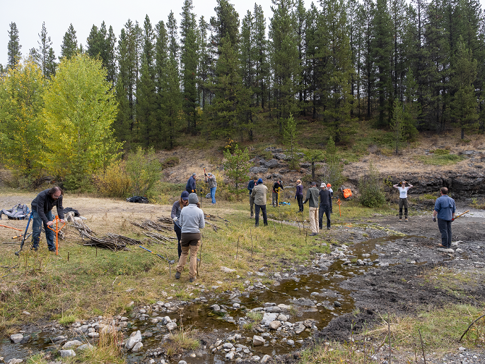 Want to learn more about restoration in the Ghost watershed? Check out the premiere of the film "Working Together To Restore Our Watersheds" Tuesday at 7pm! Presented by the Ghost Watershed Alliance Society. Register: bit.ly/3KwCV3v